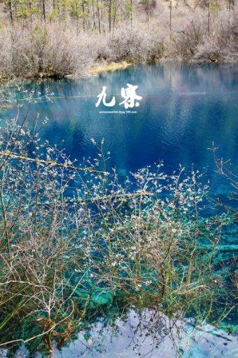 四季时尚的沫沫